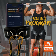 KING OF WEIGHTED DIP BELT