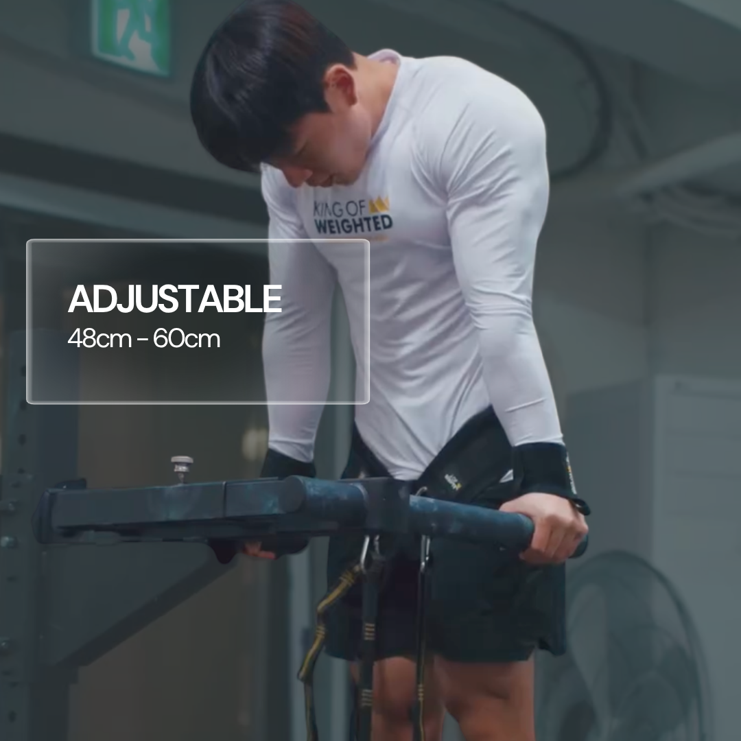 Adjustable Dip Bars - From 48cm to 65cm Dip Width