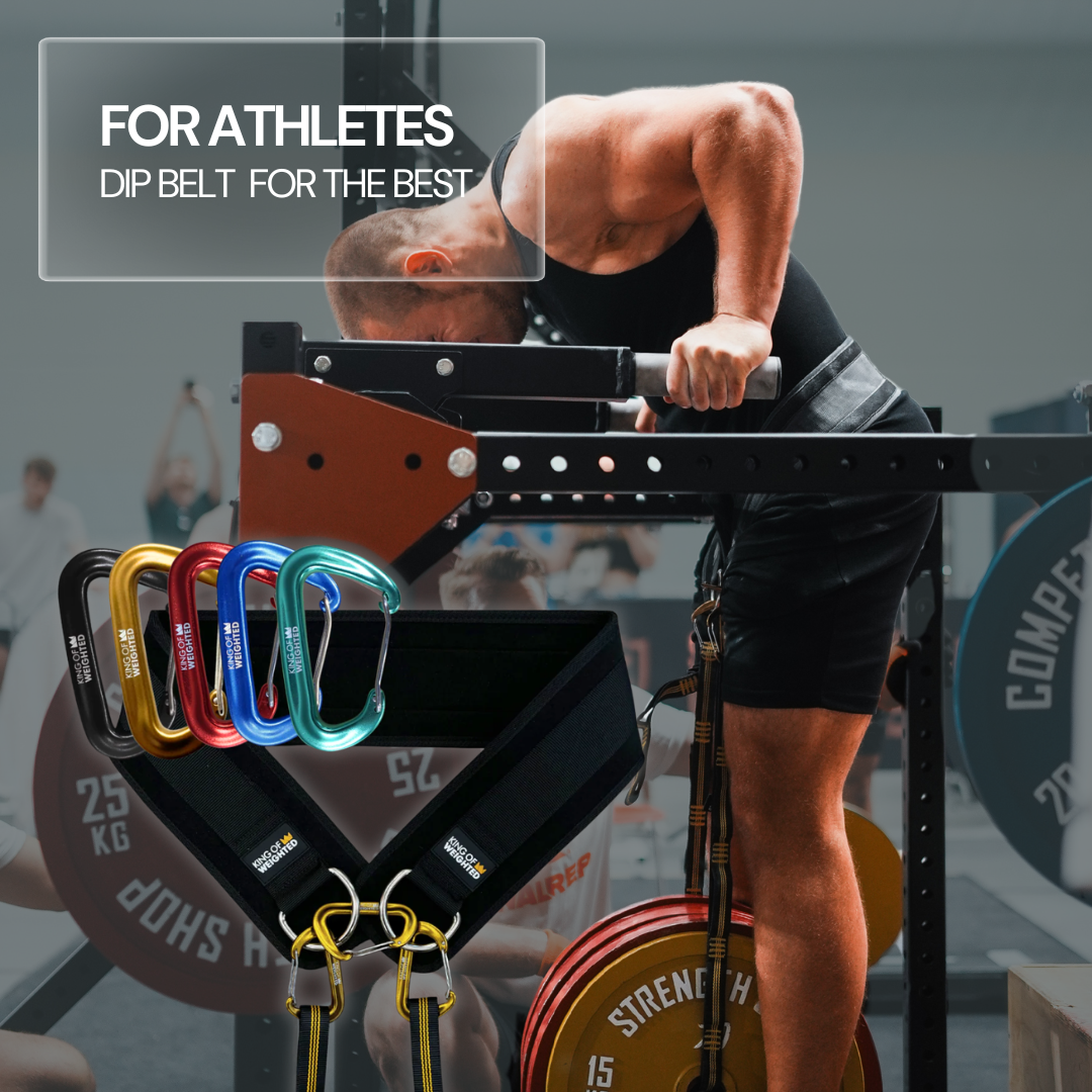 KING OF WEIGHTED DIP BELT