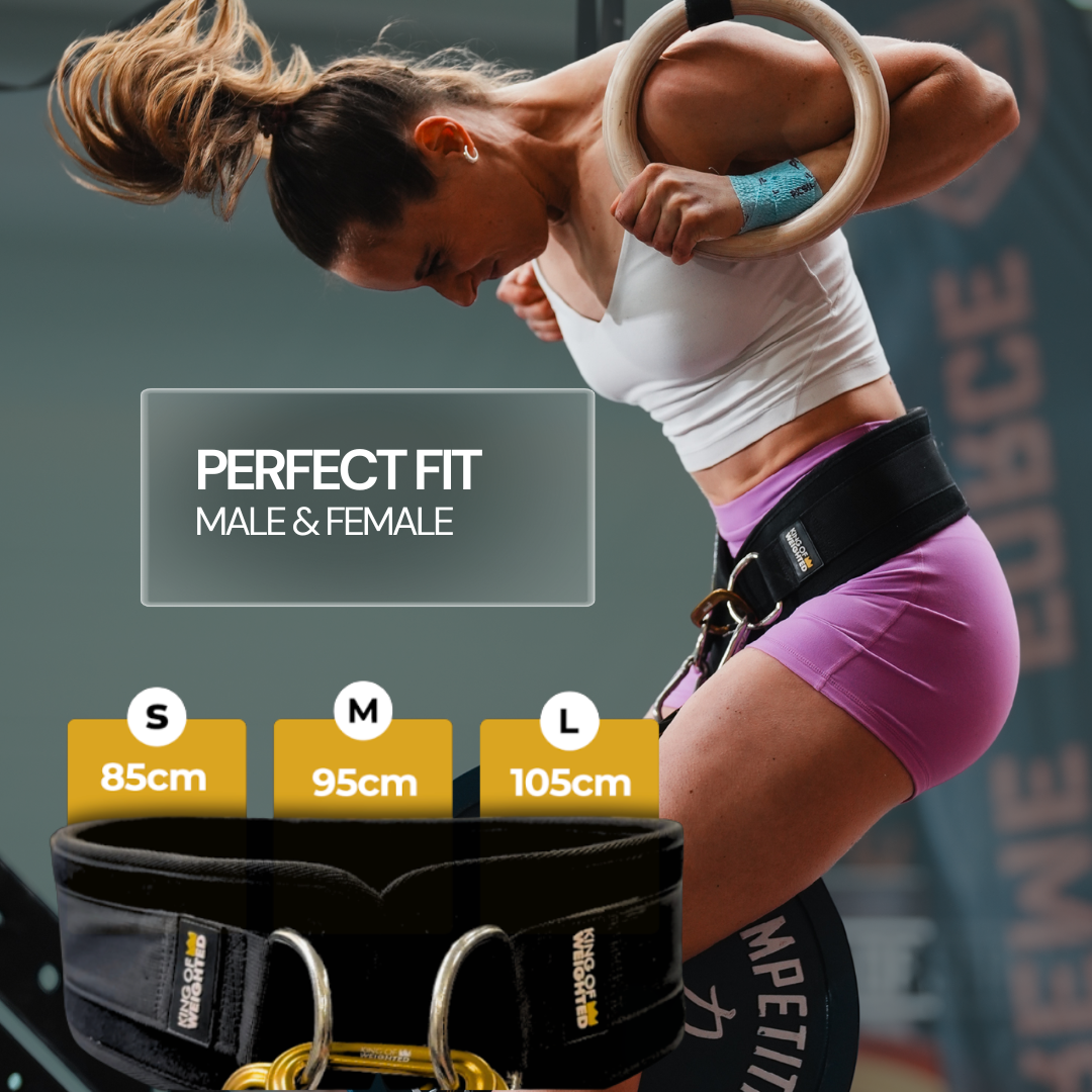 KING OF WEIGHTED DIP BELT