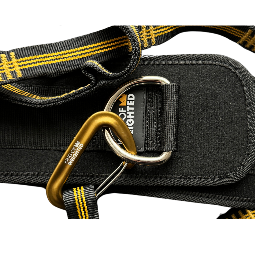 SL PRO 12kN Carabiner