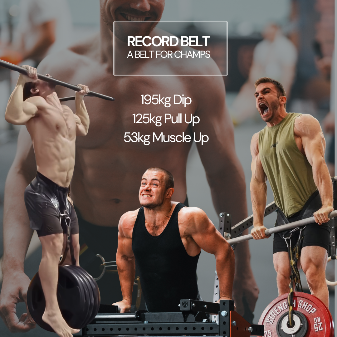 KING OF WEIGHTED DIP BELT