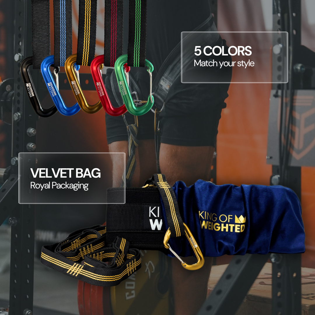 KING OF WEIGHTED DIP BELT