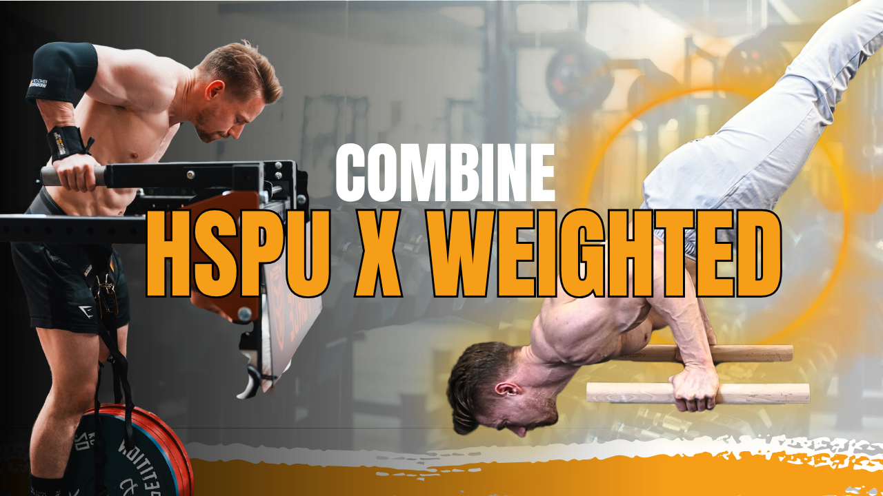 Elite Workout Programs