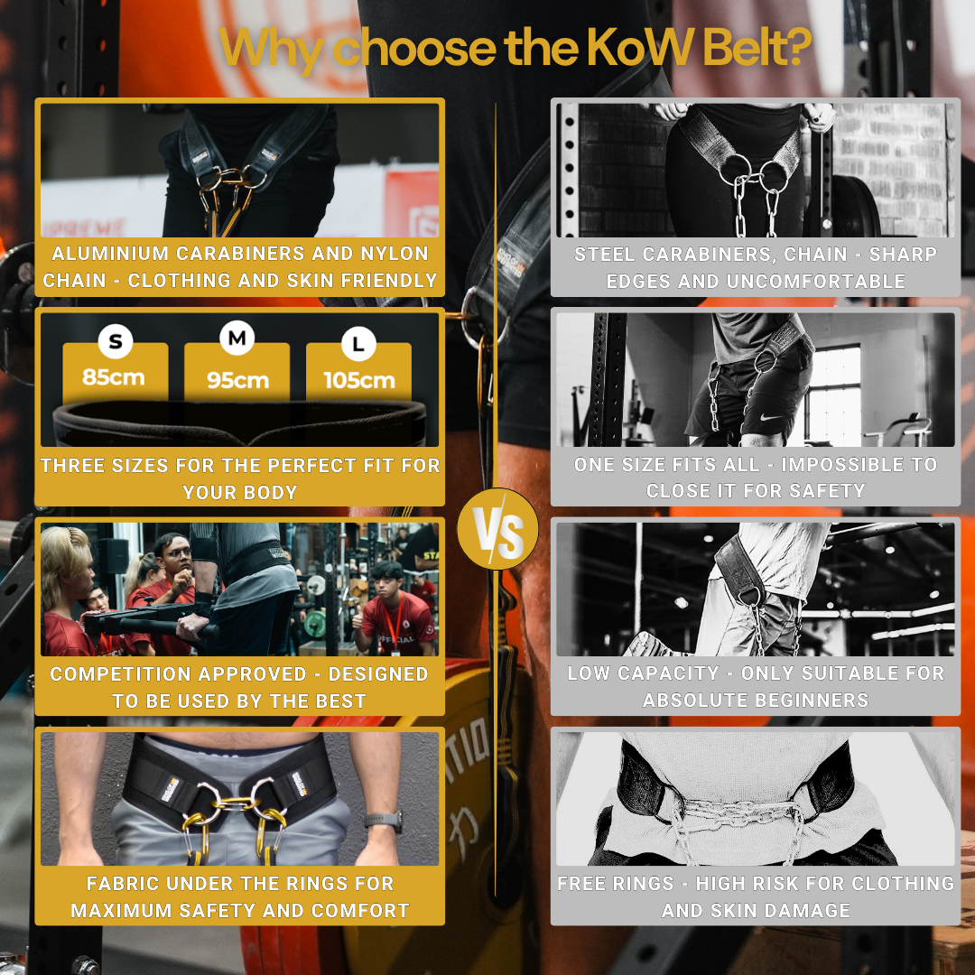 KING OF WEIGHTED DIP BELT