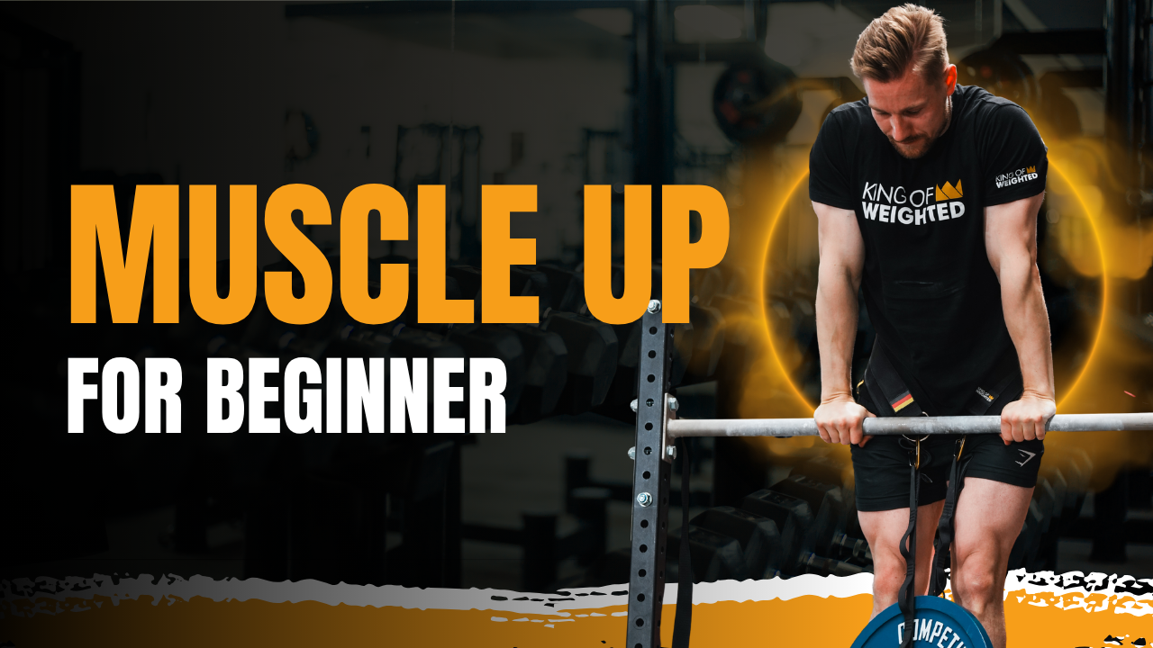 Elite Workout Programs