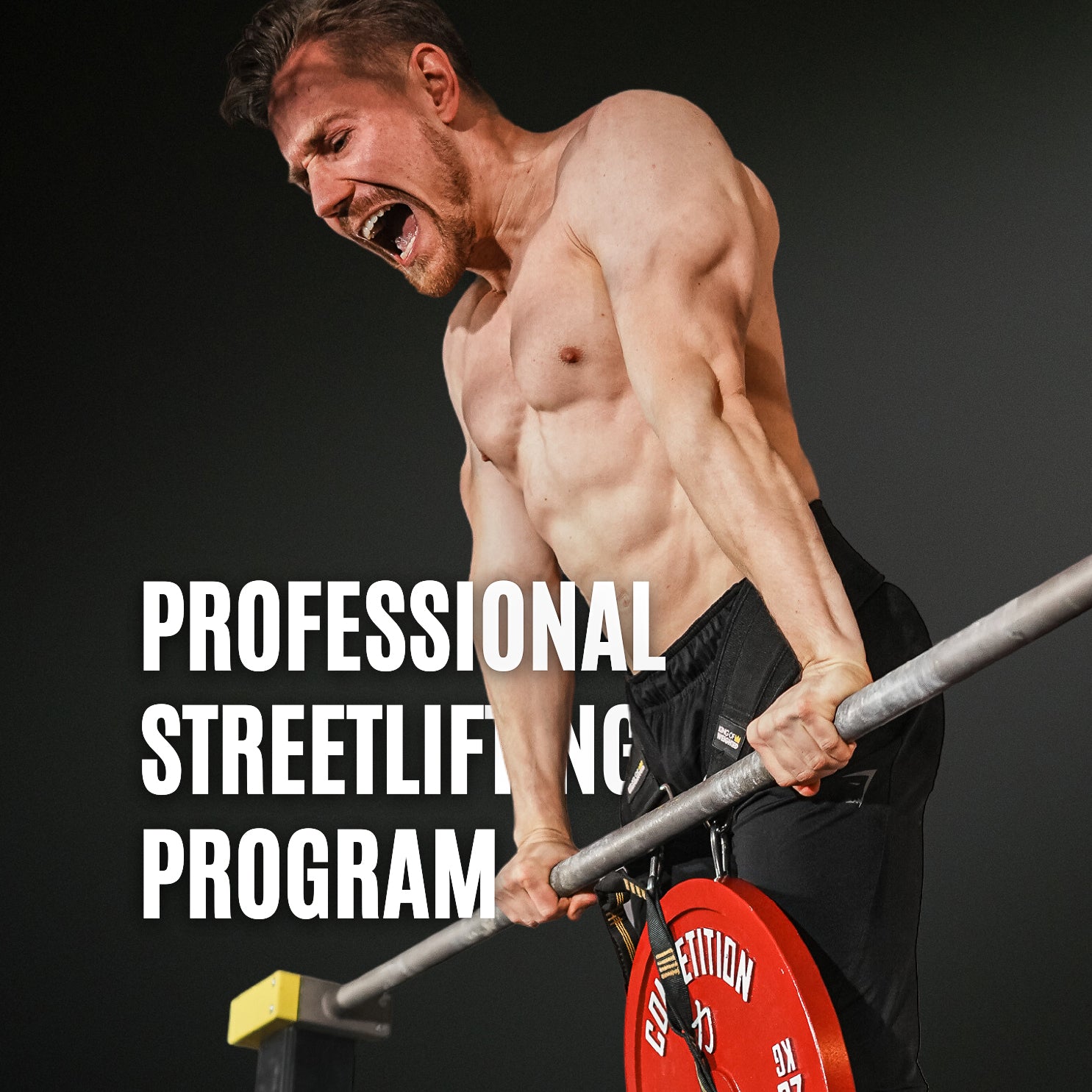 Professional Streetlifting Program