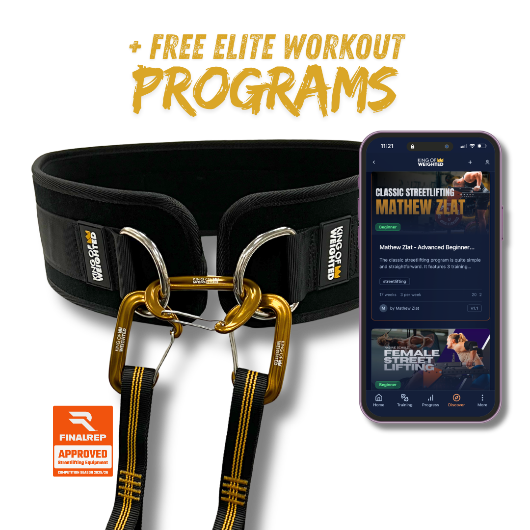 KING OF WEIGHTED DIP BELT